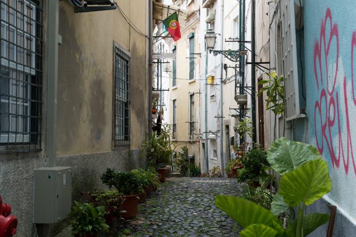 A close up on a street with green plants in Lisbon