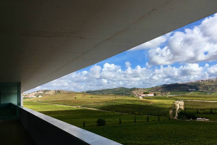 A view of a field in Portugal